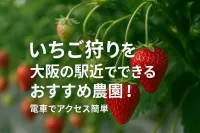 いちご狩りを大阪の駅近でできるおすすめ農園！電車でアクセス簡単