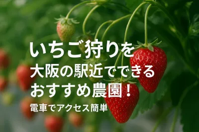 いちご狩りを大阪の駅近でできるおすすめ農園！電車でアクセス簡単