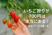 いちご狩りが700円は本当にある？格安プランの農園一覧