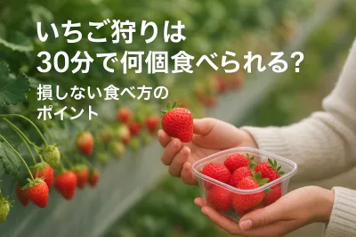 いちご狩りは30分で何個食べられる？損しない食べ方のポイント