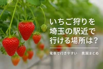 いちご狩りを埼玉の駅近で行ける場所は？電車で行きやすい農園まとめ
