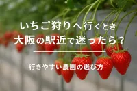 いちご狩りへ行くとき大阪の駅近で迷ったら？行きやすい農園の選び方