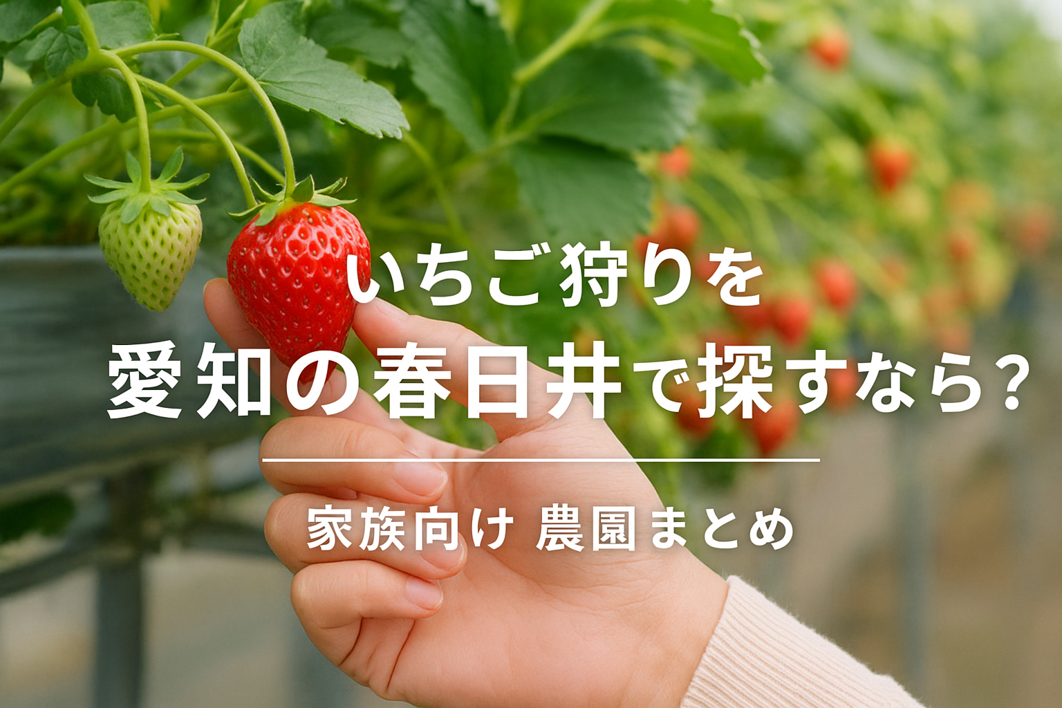 いちご狩りを愛知の春日井で探すなら？家族向け農園まとめ