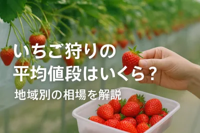 いちご狩りの平均値段はいくら？地域別の相場を解説