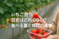 いちご狩りの目安はどれくらい？食べる量と時間の基準