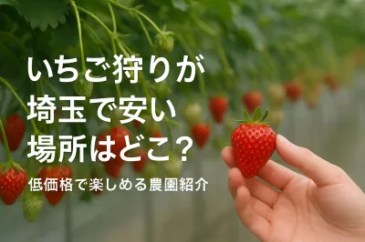 いちご狩りが埼玉で安い場所はどこ？低価格で楽しめる農園紹介