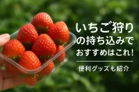 いちご狩りの持ち込みでおすすめはこれ！便利グッズも紹介