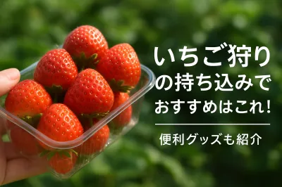 いちご狩りの持ち込みでおすすめはこれ！便利グッズも紹介