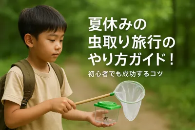 夏休みの虫取り旅行のやり方ガイド！初心者でも成功するコツ