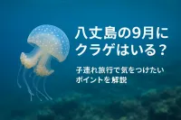 八丈島の9月にクラゲはいる？子連れ旅行で気をつけたいポイントを解説